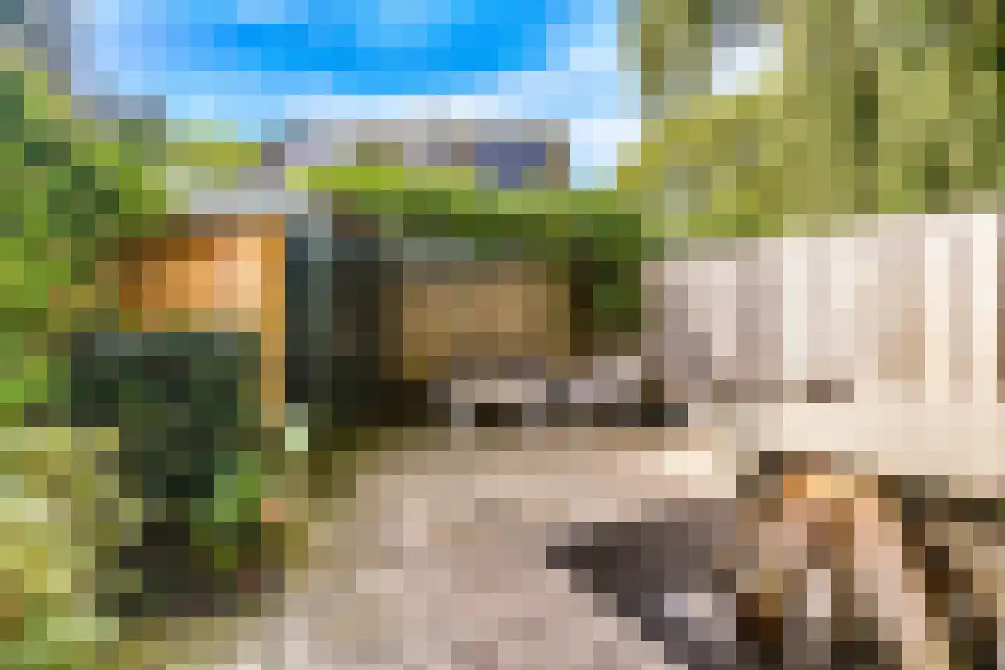 Kromdel 63 Koedijk thumbnail 37