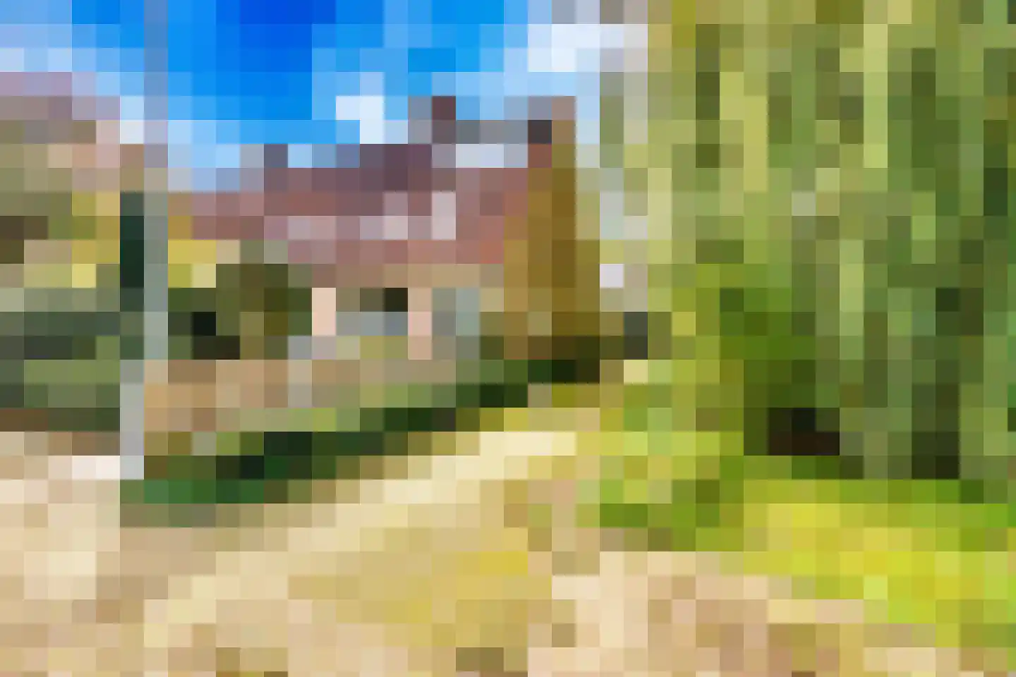 Kromdel 63 Koedijk thumbnail 38