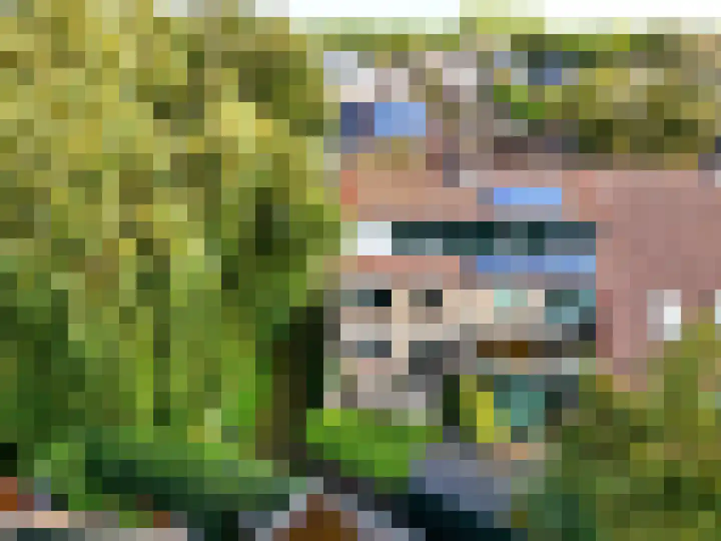 Kromdel 63 Koedijk thumbnail 42