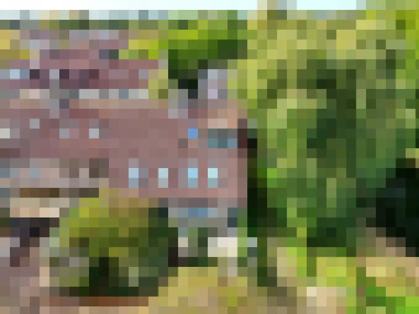 Kromdel 63 Koedijk thumbnail 45
