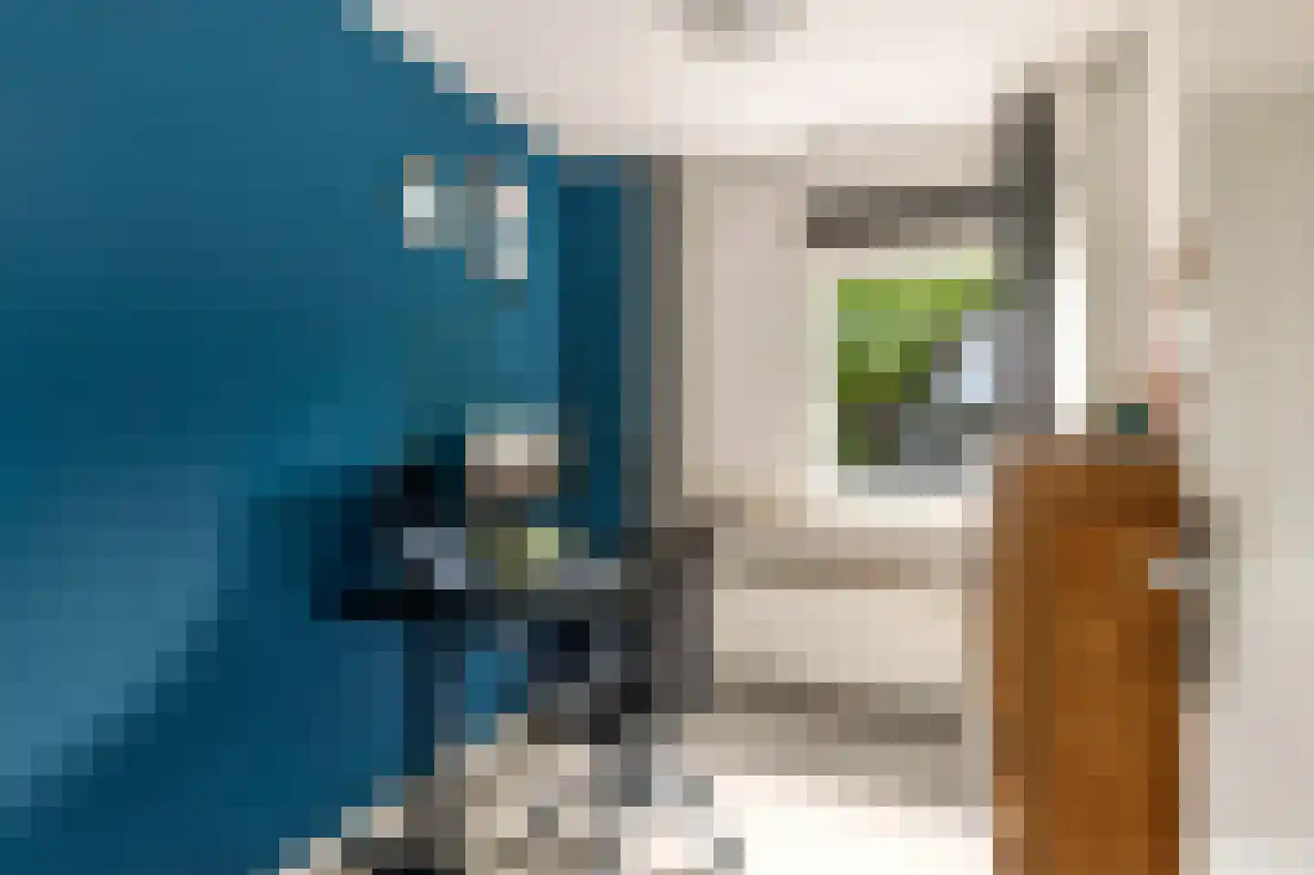 Kromdel 63 Koedijk thumbnail 9