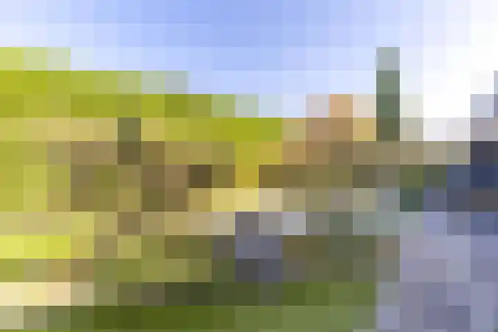 Kromgouw 32 Almere thumbnail 51