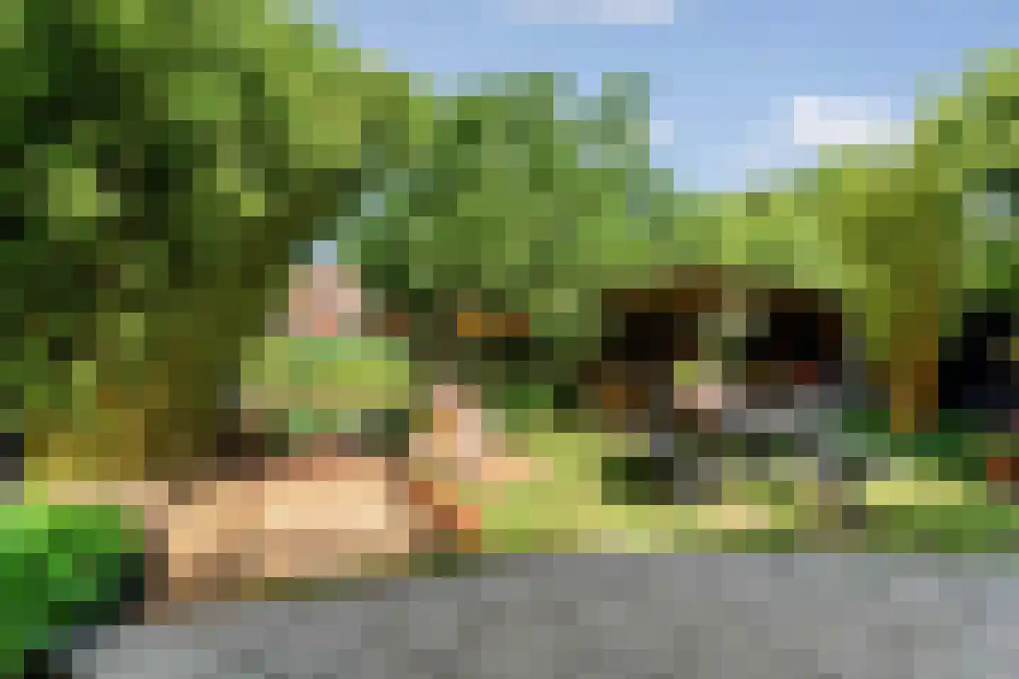 Kromgouw 61 Almere thumbnail 52