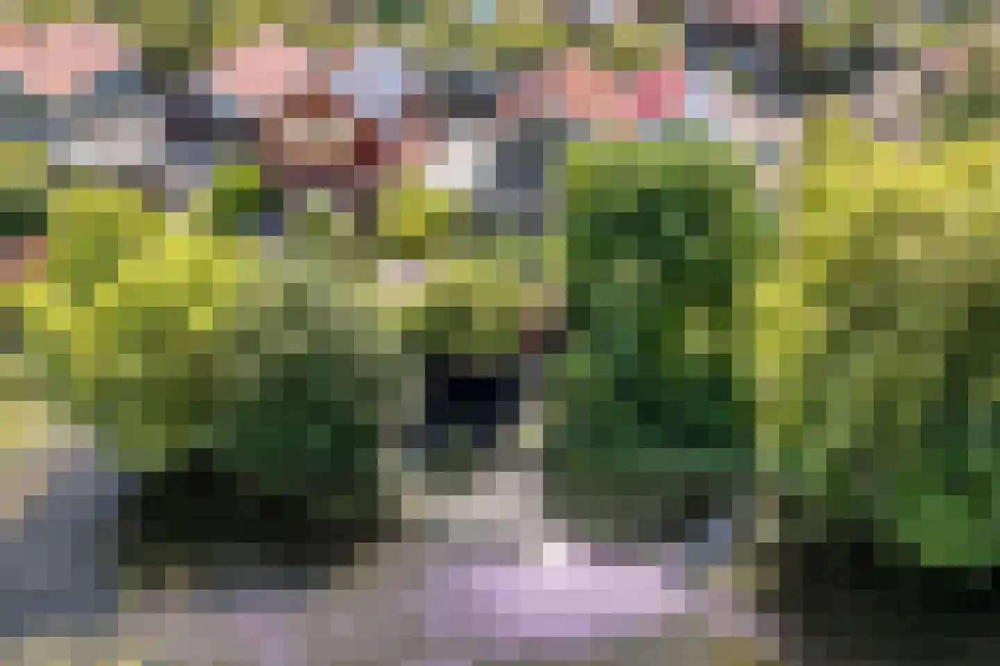 Kromgouw 61 Almere thumbnail 58