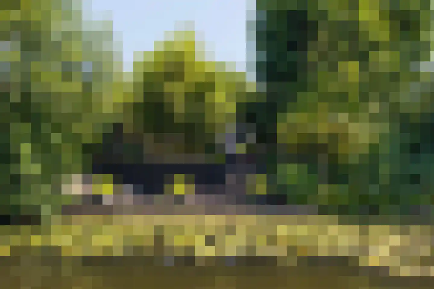 Kromgouw 61 Almere thumbnail 63