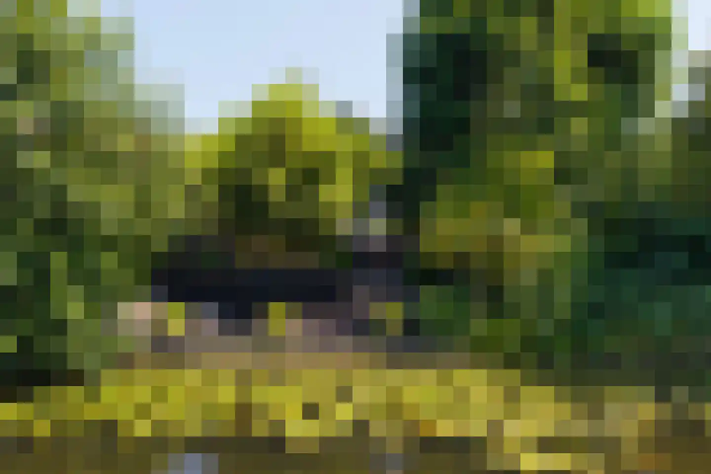 Kromgouw 61 Almere thumbnail 64