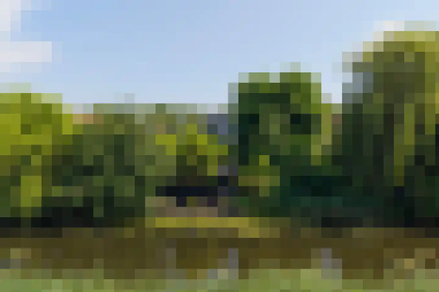 Kromgouw 61 Almere thumbnail 65