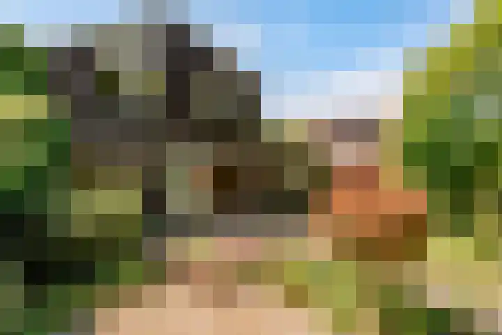 Kromgouw 83 Almere thumbnail 35