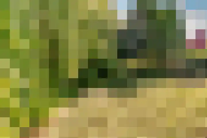 Kromgouw 83 Almere thumbnail 37