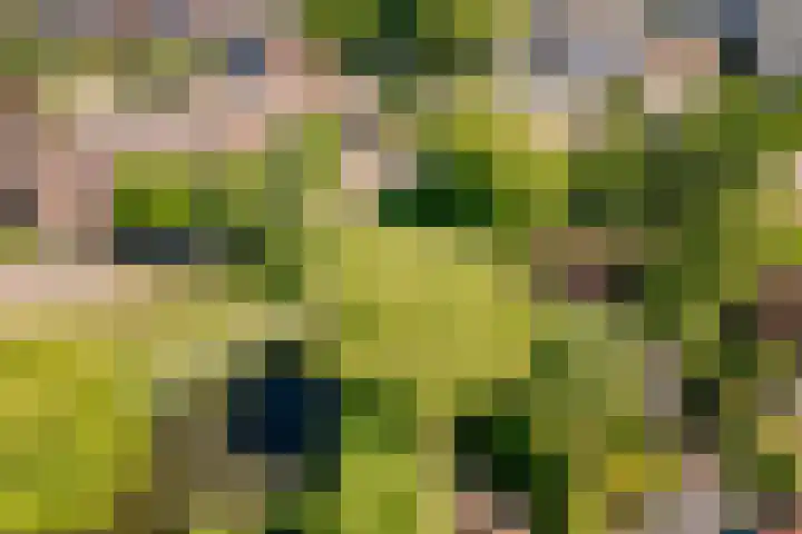 Kromgouw 83 Almere thumbnail 45