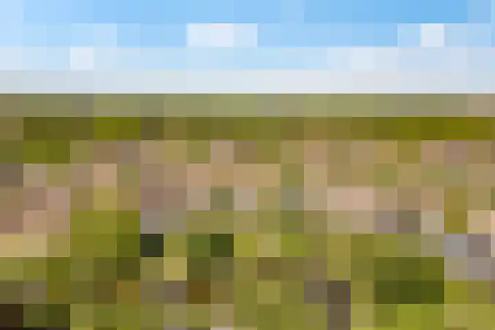 Kromgouw 83 Almere thumbnail 46