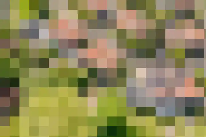 Kromgouw 83 Almere thumbnail 47