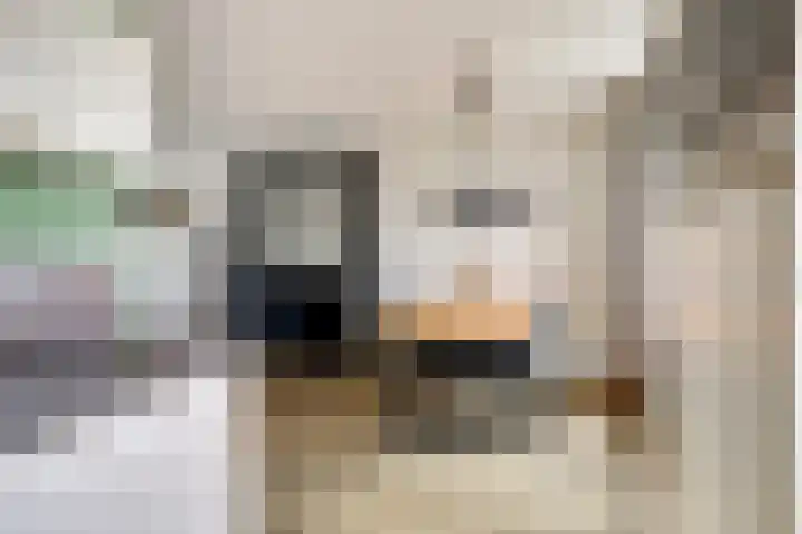 Kromhals 10 Velden thumbnail 12