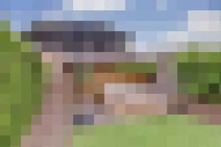 Kromhals 10 Velden thumbnail 24