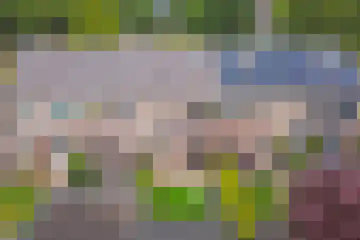 Kromhals 10 Velden thumbnail 27