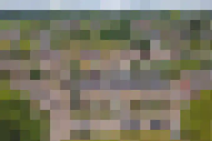 Kromhals 10 Velden thumbnail 30