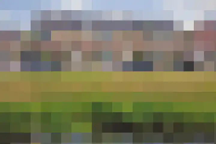 Kromhals 10 Velden thumbnail 31