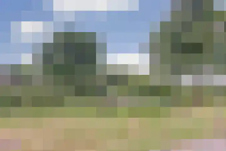 Kromhals 10 Velden thumbnail 4