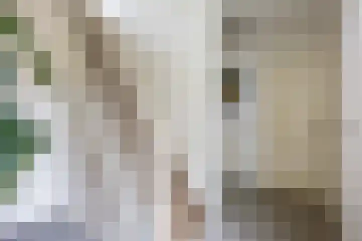 Kromhoek 31 Frieschepalen thumbnail 10