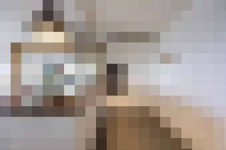 Kromhoek 31 Frieschepalen thumbnail 12