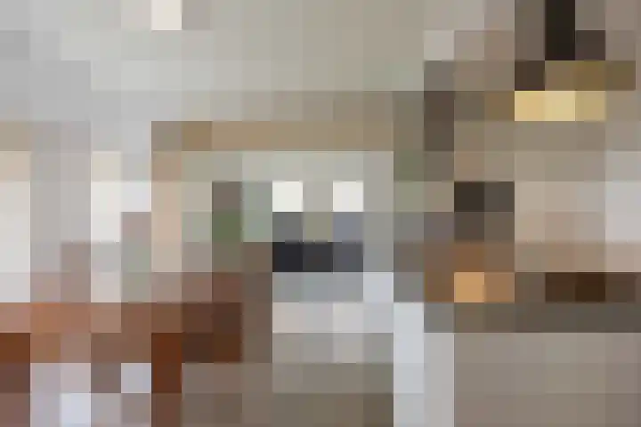Kromhoek 31 Frieschepalen thumbnail 13