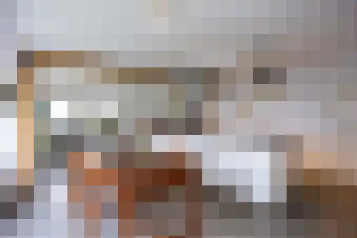 Kromhoek 31 Frieschepalen thumbnail 16