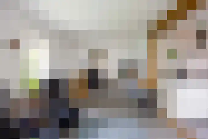 Kromhoek 31 Frieschepalen thumbnail 17