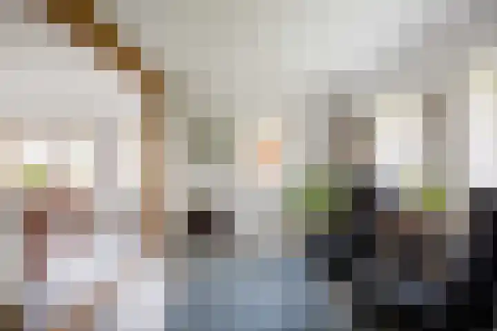 Kromhoek 31 Frieschepalen thumbnail 18