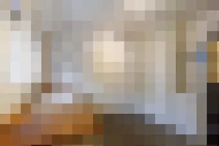 Kromhoek 31 Frieschepalen thumbnail 28