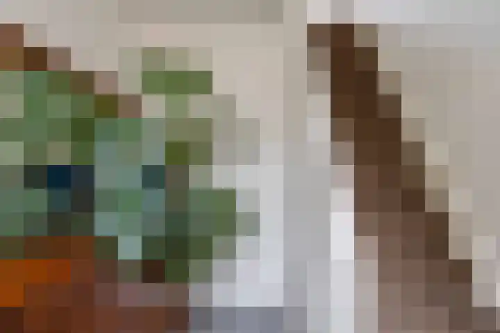 Kromhoek 31 Frieschepalen thumbnail 30