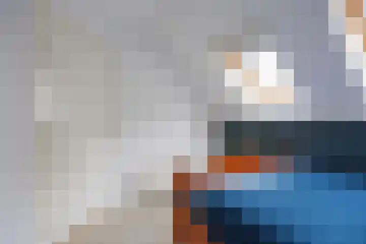 Kromhoek 31 Frieschepalen thumbnail 37