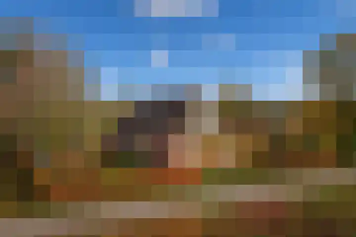 Kromhoek 31 Frieschepalen thumbnail 42