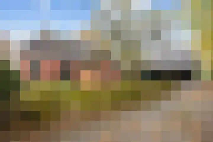 Kromhoek 31 Frieschepalen thumbnail 43