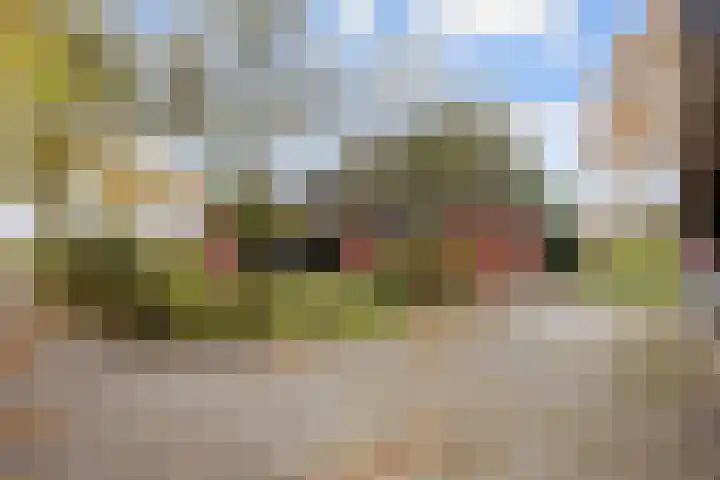 Kromhoek 31 Frieschepalen thumbnail 44