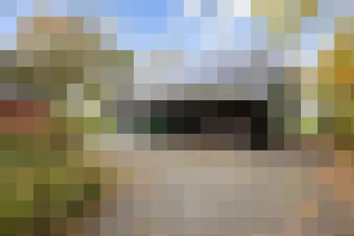 Kromhoek 31 Frieschepalen thumbnail 45
