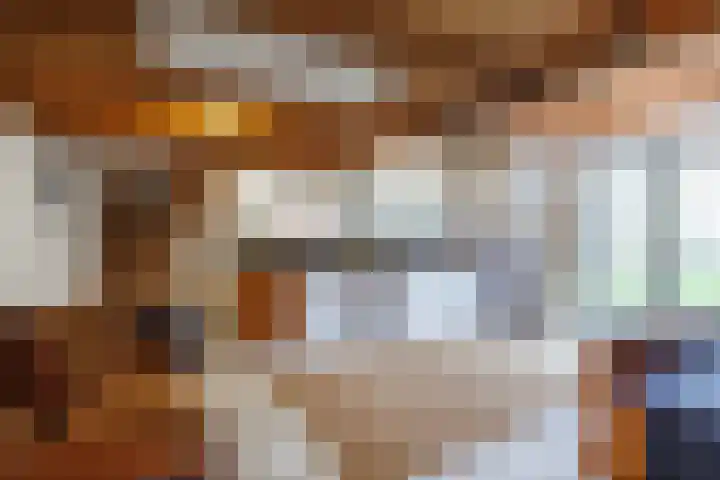 Kromhoek 31 Frieschepalen thumbnail 49