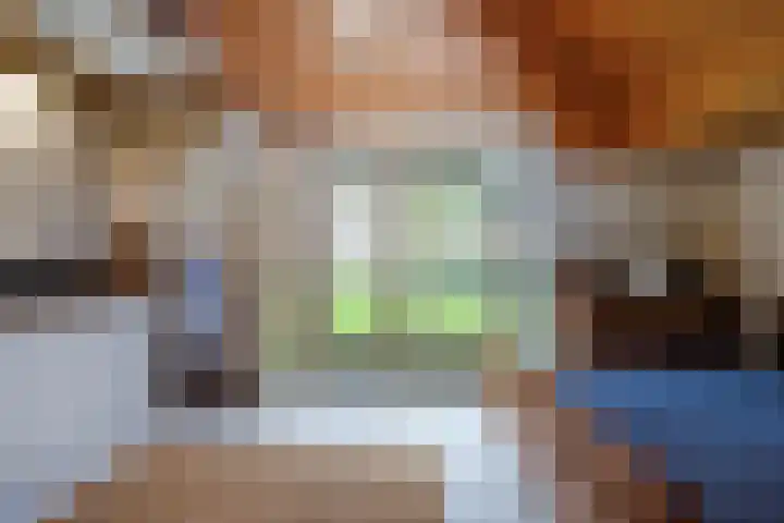 Kromhoek 31 Frieschepalen thumbnail 50