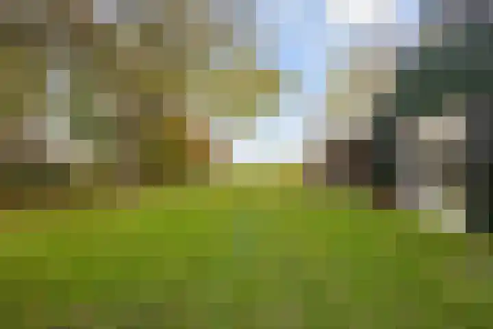 Kromhoek 31 Frieschepalen thumbnail 51
