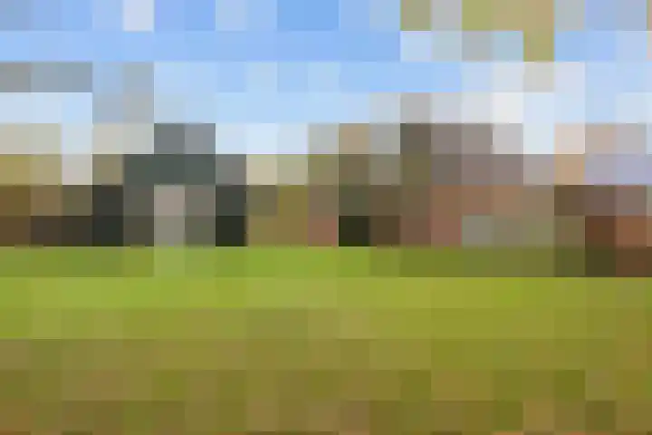 Kromhoek 31 Frieschepalen thumbnail 52