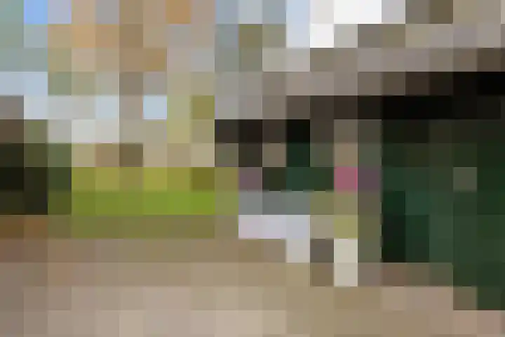 Kromhoek 31 Frieschepalen thumbnail 53