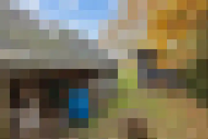 Kromhoek 31 Frieschepalen thumbnail 55