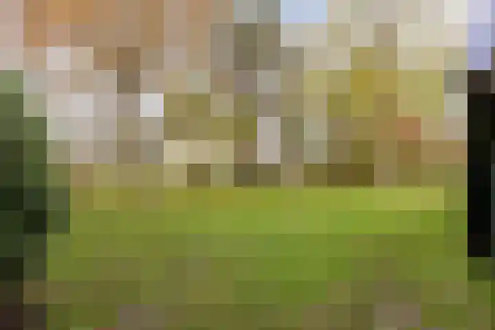 Kromhoek 31 Frieschepalen thumbnail 56