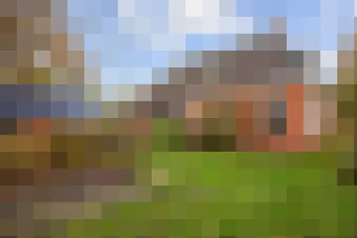 Kromhoek 31 Frieschepalen thumbnail 57
