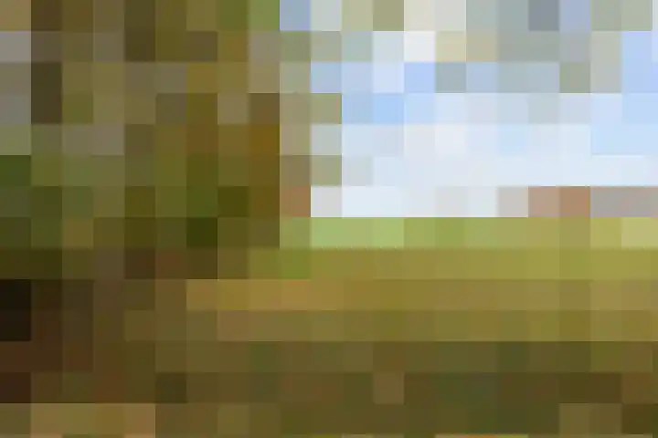 Kromhoek 31 Frieschepalen thumbnail 6