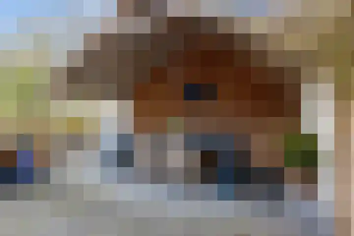 Kromhoek 31 Frieschepalen thumbnail 60