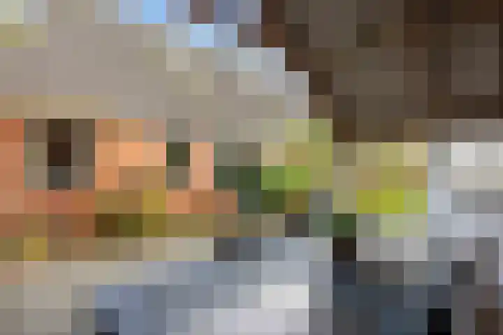 Kromhoek 31 Frieschepalen thumbnail 61