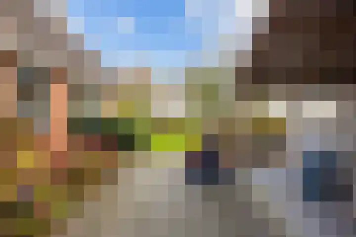 Kromhoek 31 Frieschepalen thumbnail 62