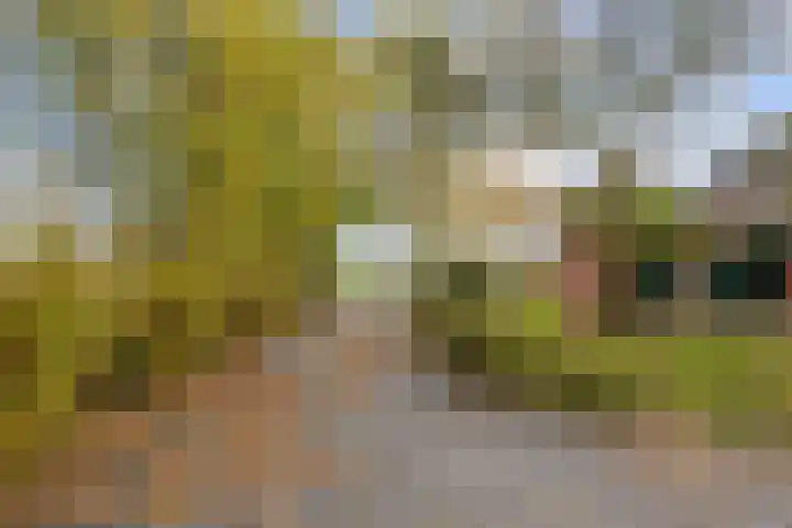 Kromhoek 31 Frieschepalen thumbnail 64