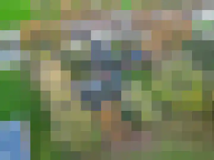 Kromhoek 31 Frieschepalen thumbnail 65