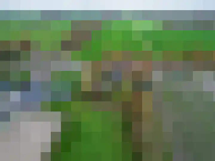 Kromhoek 31 Frieschepalen thumbnail 68
